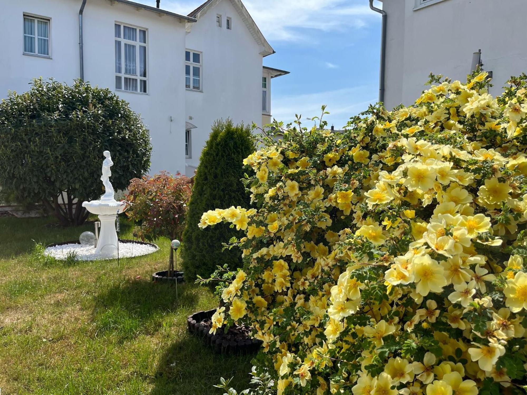 Pension Mittag Херингсдорф Экстерьер фото